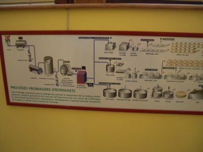 Cheesemaking 1